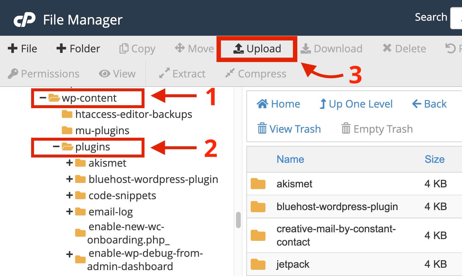 Upload plugin to the site from File Manager